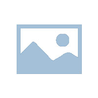 市北区地方金融监管局局长盛颖一行来公司走访调研