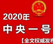 中共中央国务院关于抓好“三农”领域重点工作确保如期实现全面小康的意见