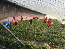 莱西心乐家庭农场