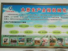 平度市杨家顶子蔬菜生产专业合作社