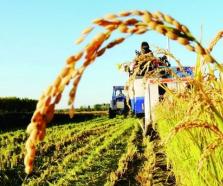 青岛农担发力“碳金融”助推农业绿色转型