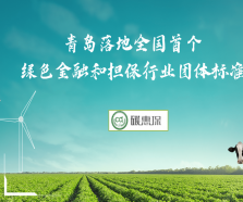 创新碳排放核算新方法 青岛落地全国首个绿色金融和担保行业团体标准
