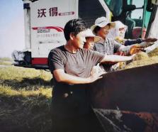 银担系统直连，助力农村振兴！农业银行青岛分行与青岛农担公司实现“银担直连”