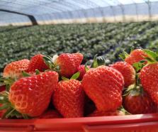 【微聚焦】助力“双碳”目标——青岛农担公司首创国内担保行业绿色金融团体标准