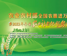 一线传真 | 全国农服进万家系列活动走进青岛胶州市